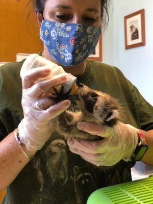 126184096_3955091194502577_445404529306764957_n